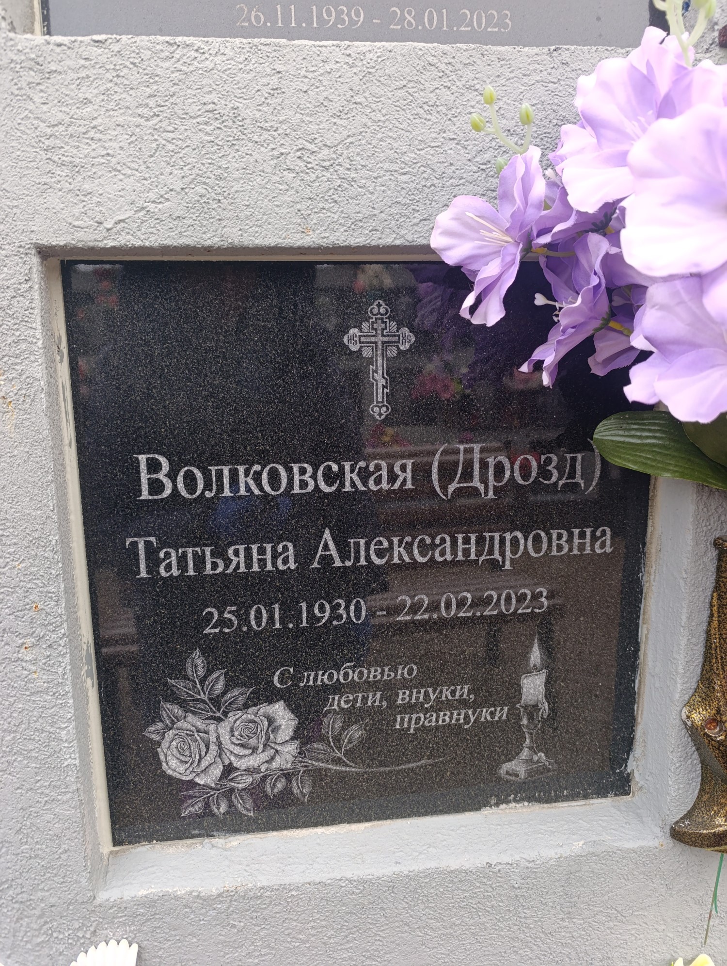 ВолковскаяДрозд Татьяна Александровна