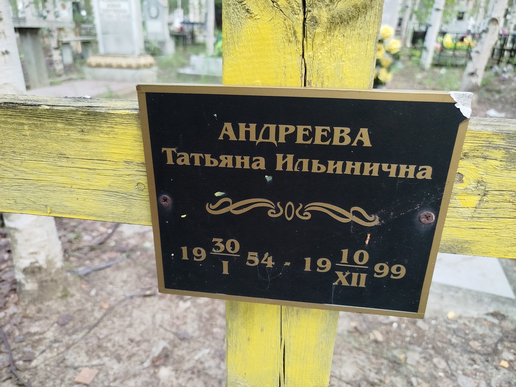 Андреева Татьяна Ильинична