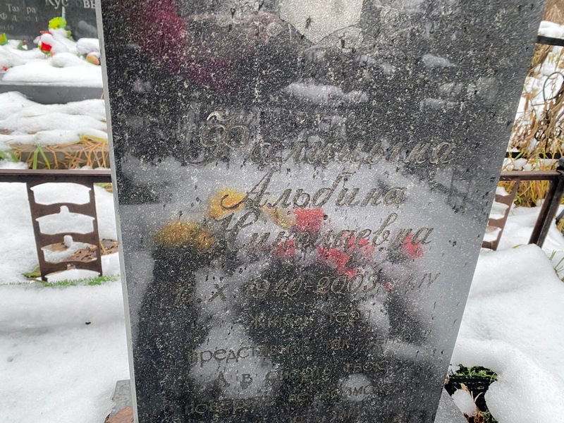 Альбина Фалицына Николаевна