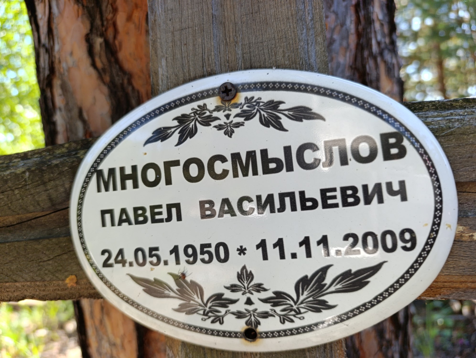 Многосмыслов Павел Васильевич