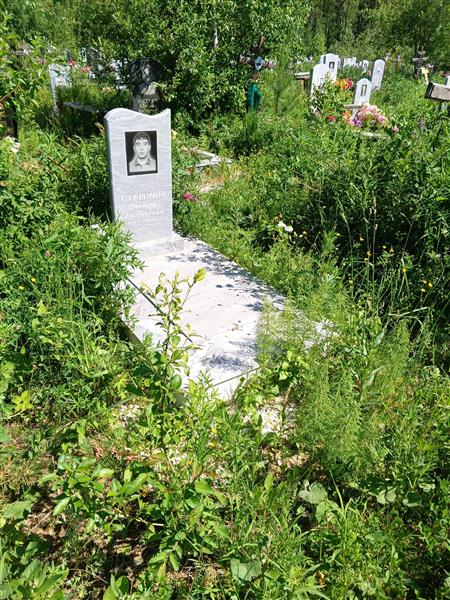 Сафронов Дмитрий Евгеньевич