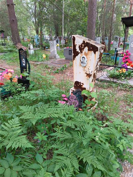 Баженков Алексей Николаевич