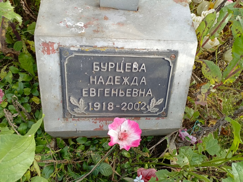Бурцева