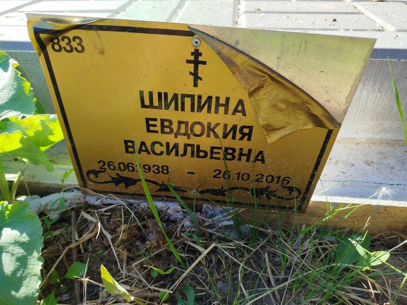 Шипина