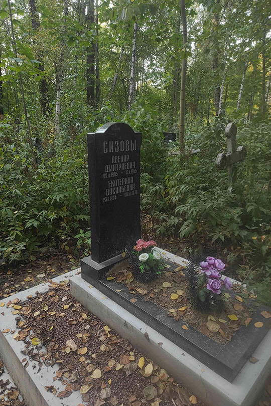 Сизов Авенир Дмитриевич