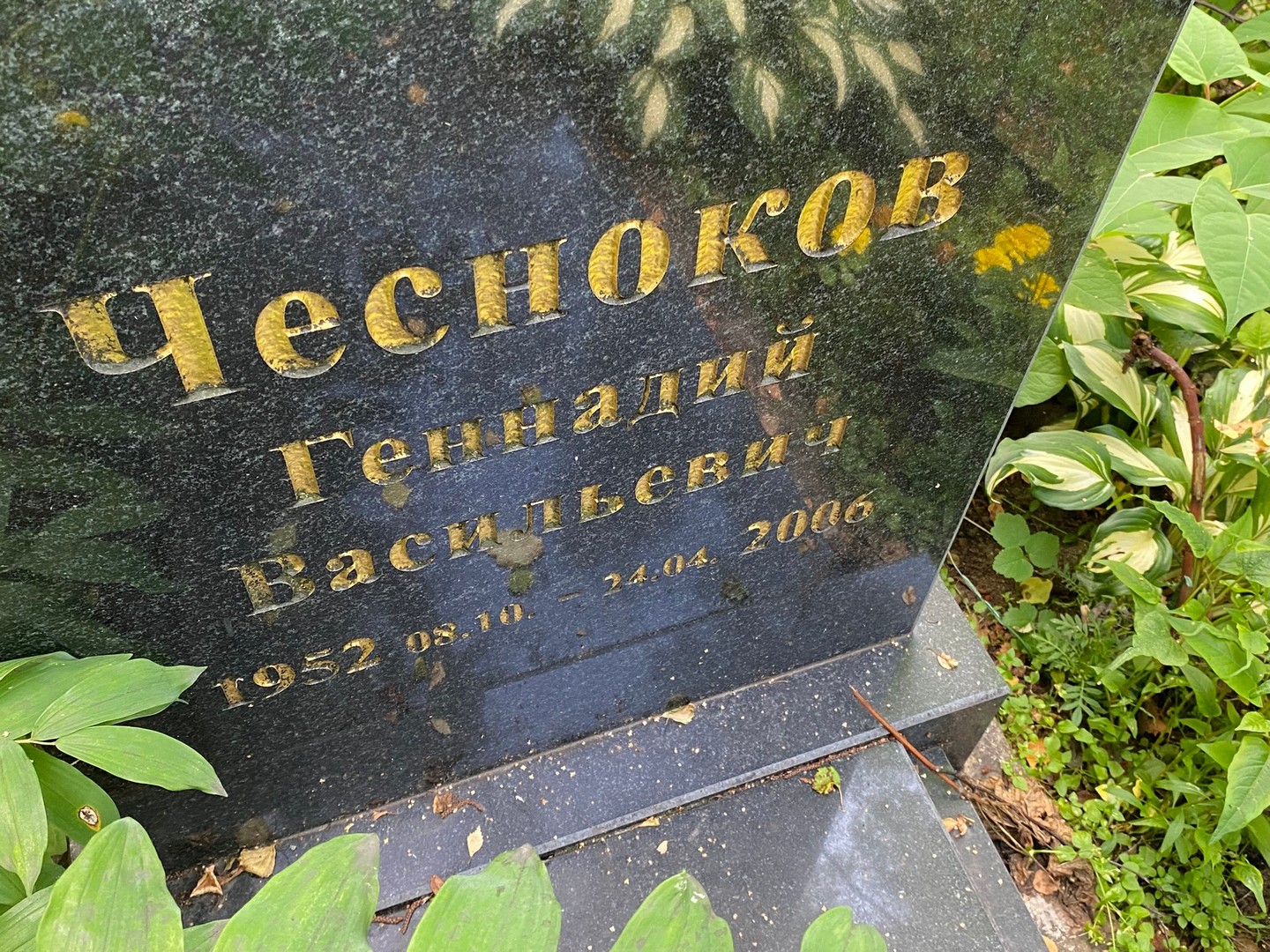Чесноков