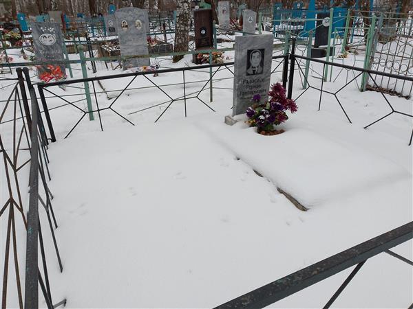 Радостев Герман Григорьевич