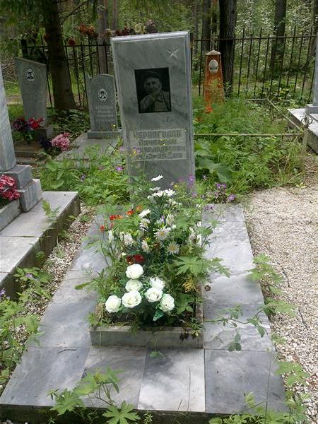 Черноголов Вячеслав Александрович