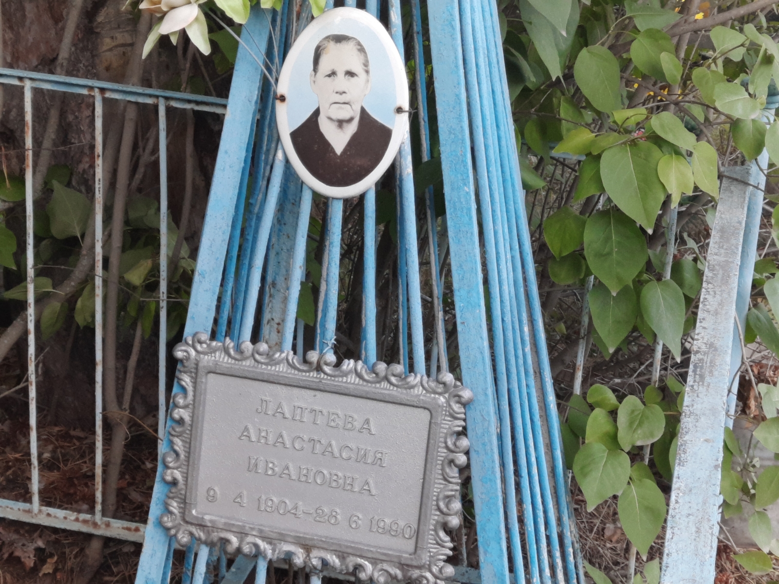 Лаптева Анастасия Ивановна