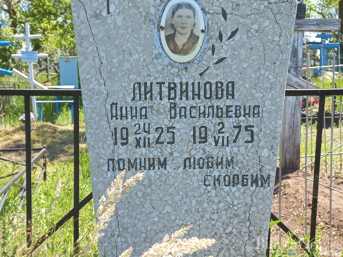 Литвинова Анна Васильевна