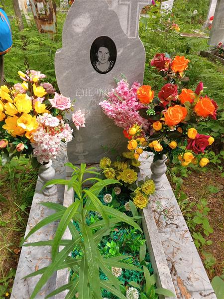 Емельянова Любовь Михайловна