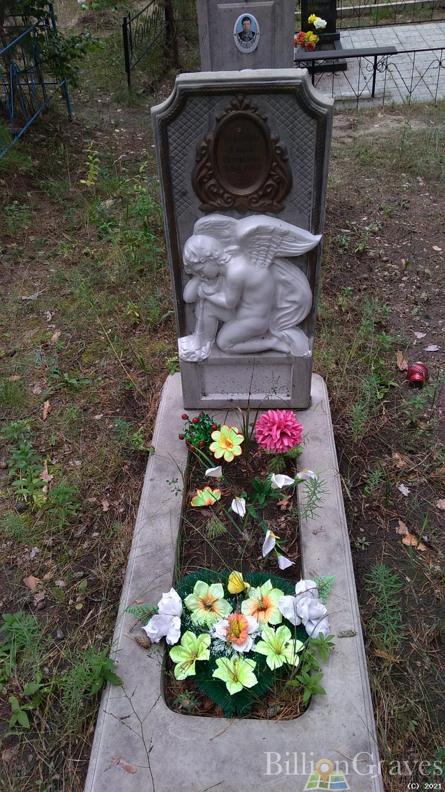 Черданцева Алина Сергеевна