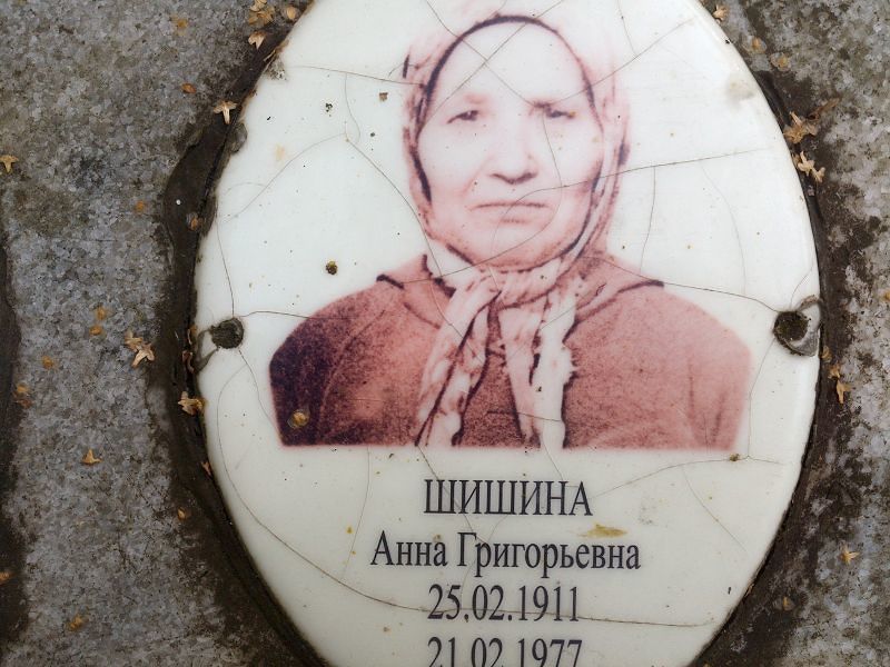 Шишина