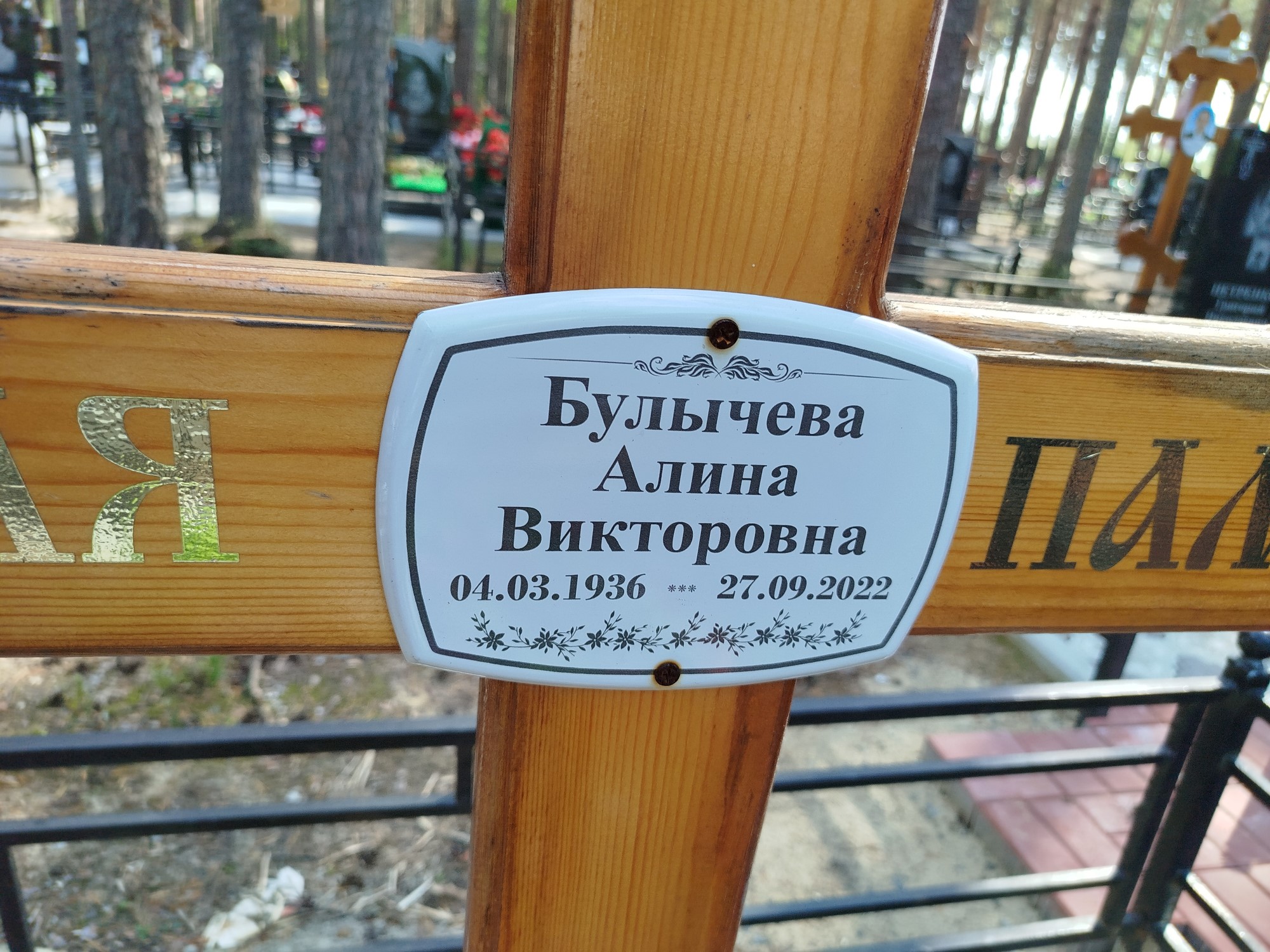Булычева Алина Викторовна