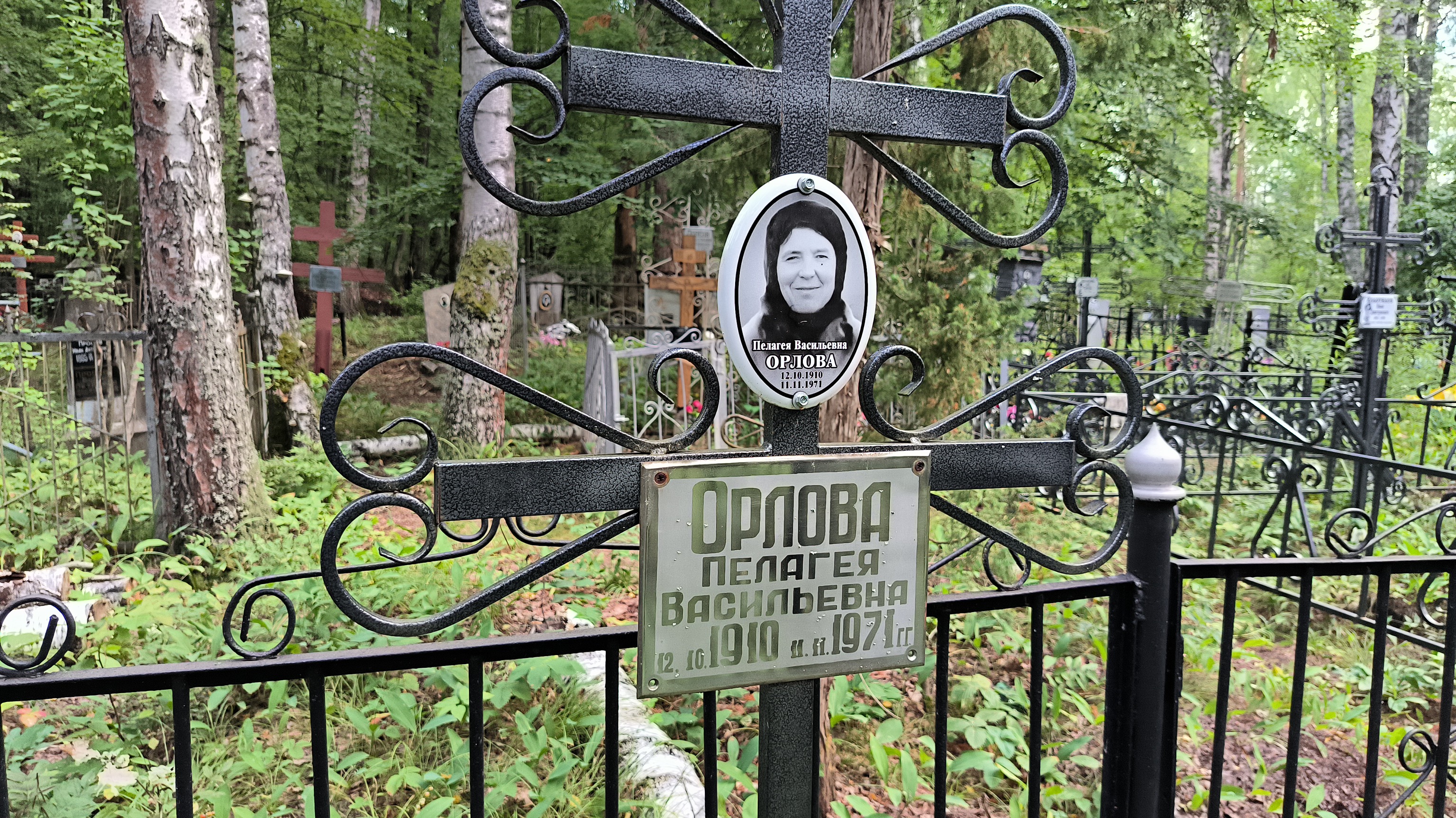 Орлова Пелагея Васильевна
