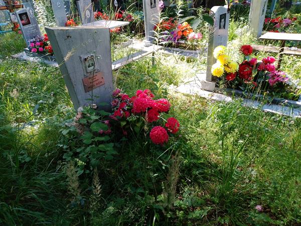 Щеколдина Елена Леонидовна