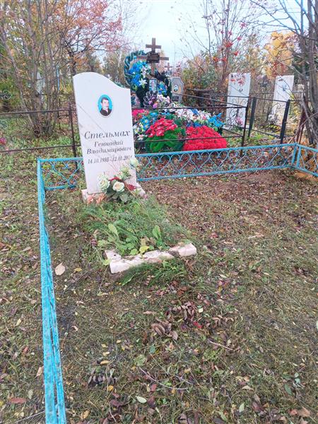 Стельмах Геннадий Владимирович
