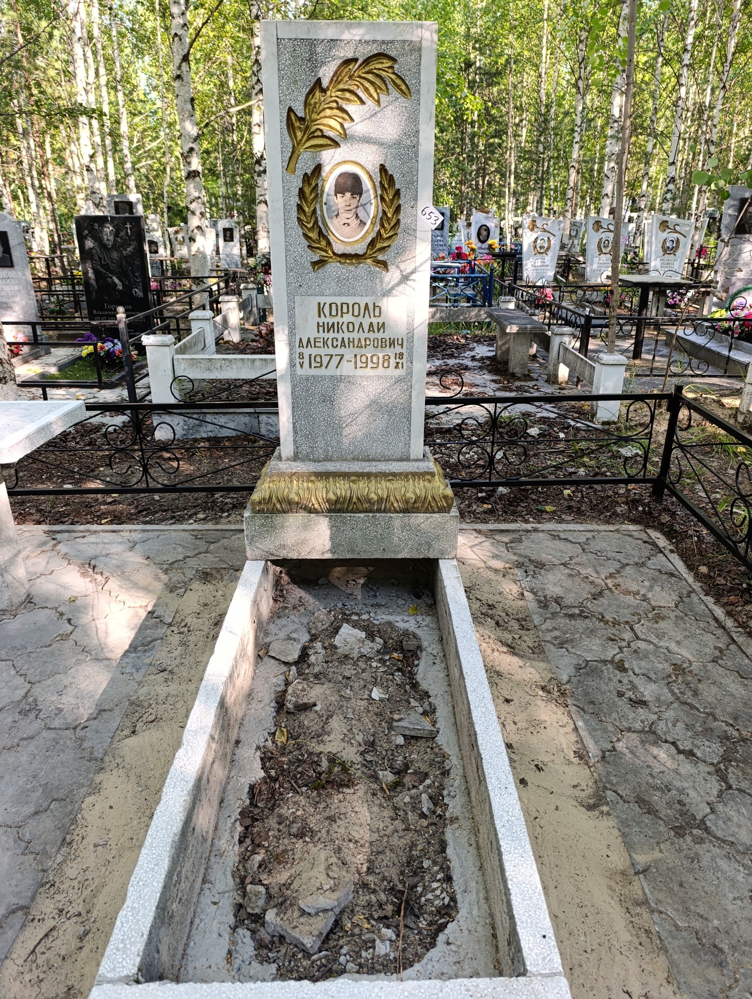 Король Николай Александрович