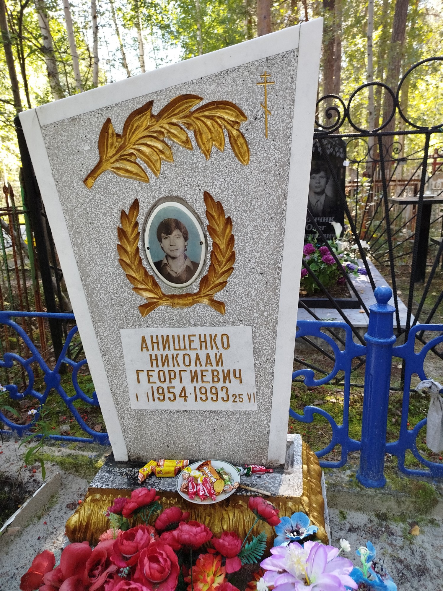 Анищенко Николай Георгиевич