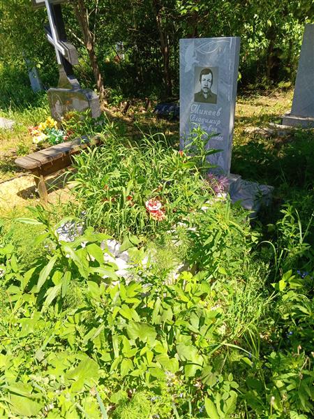 Минеев Владимир Нурович