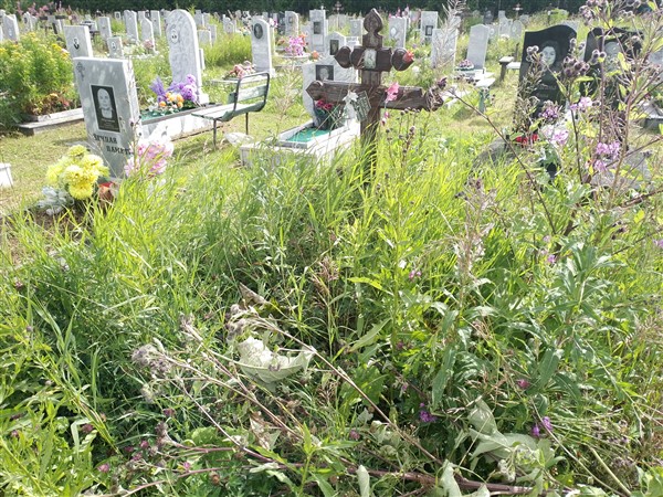 Кузнецов Александр Петрович