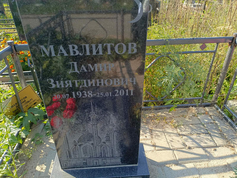 Дамир Мавлитов Зиятдинович