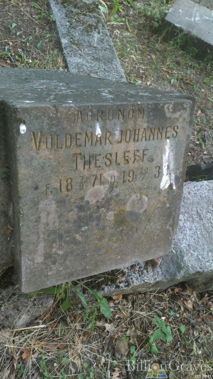 Thesleff Voldemar Johannes