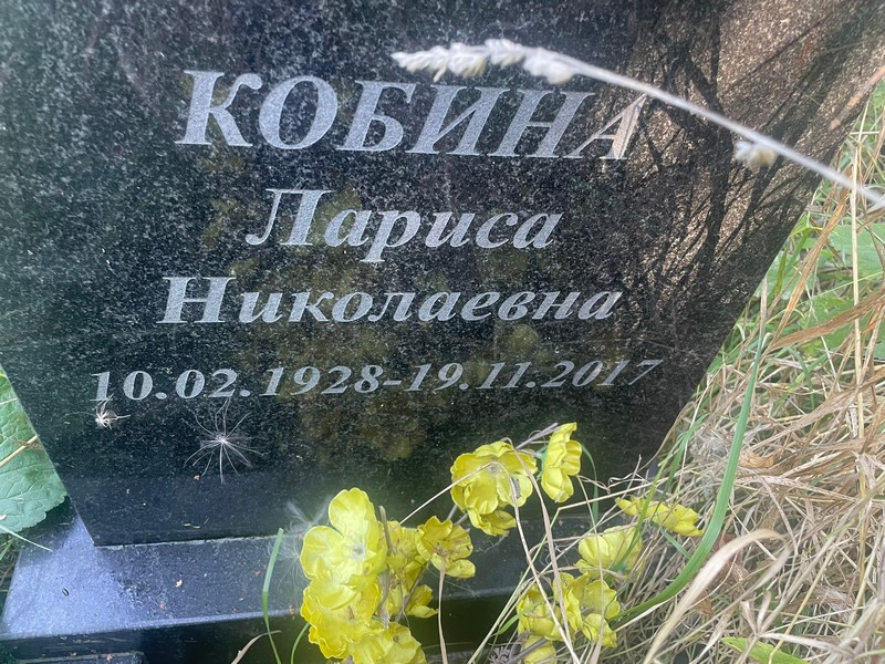 Кобина