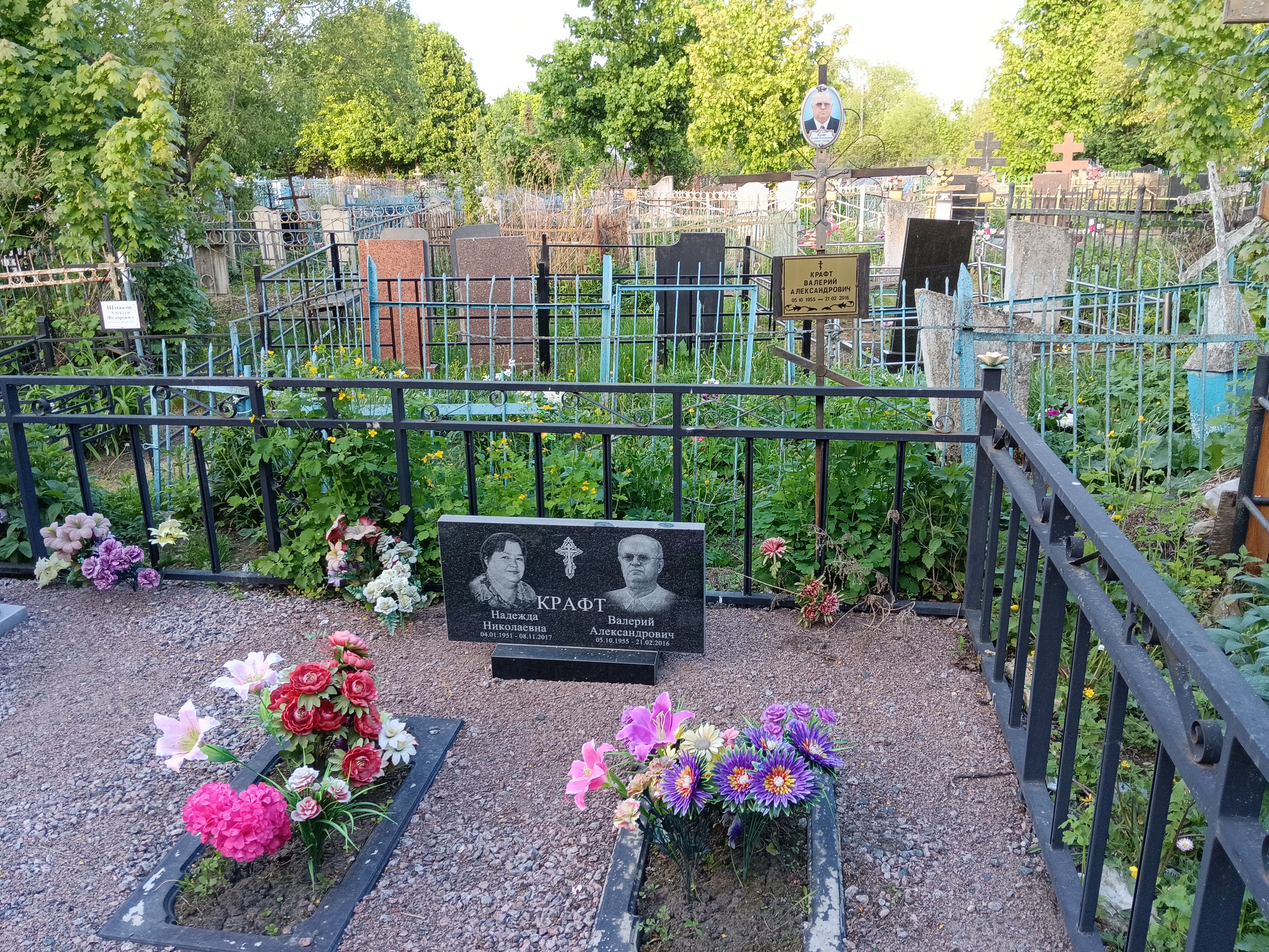 Крафт Валерий Александрович