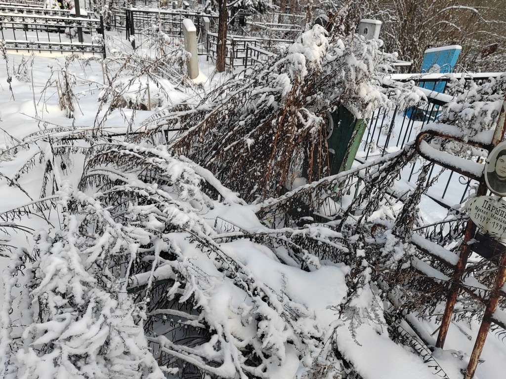 Лихацкий Василий Васильевич