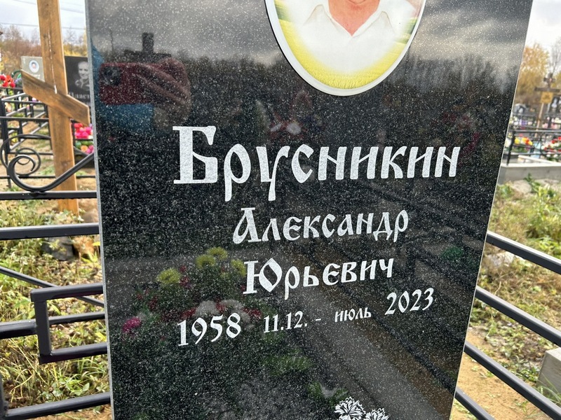 Брусникин