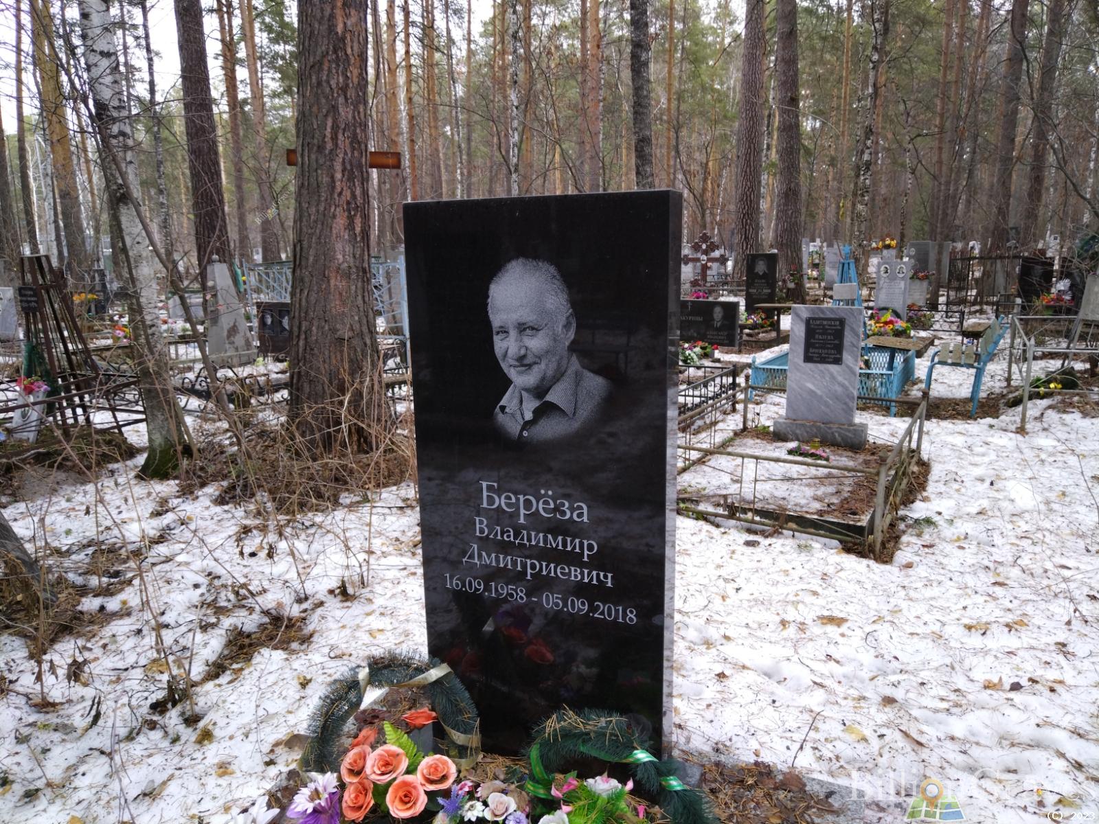 Береза Владимир Дмитриевич