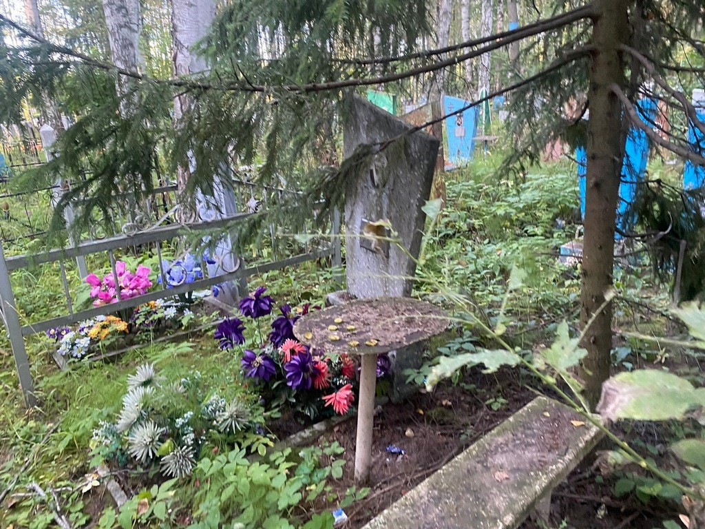 Шелякина Елена Архиповна