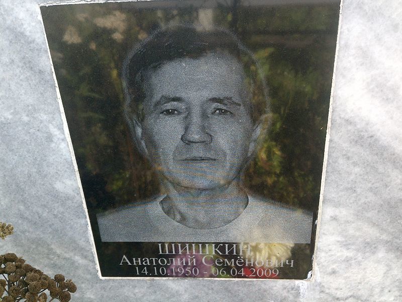 Шишкин