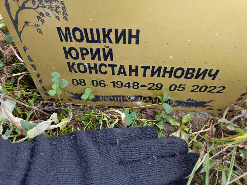 Мошкин