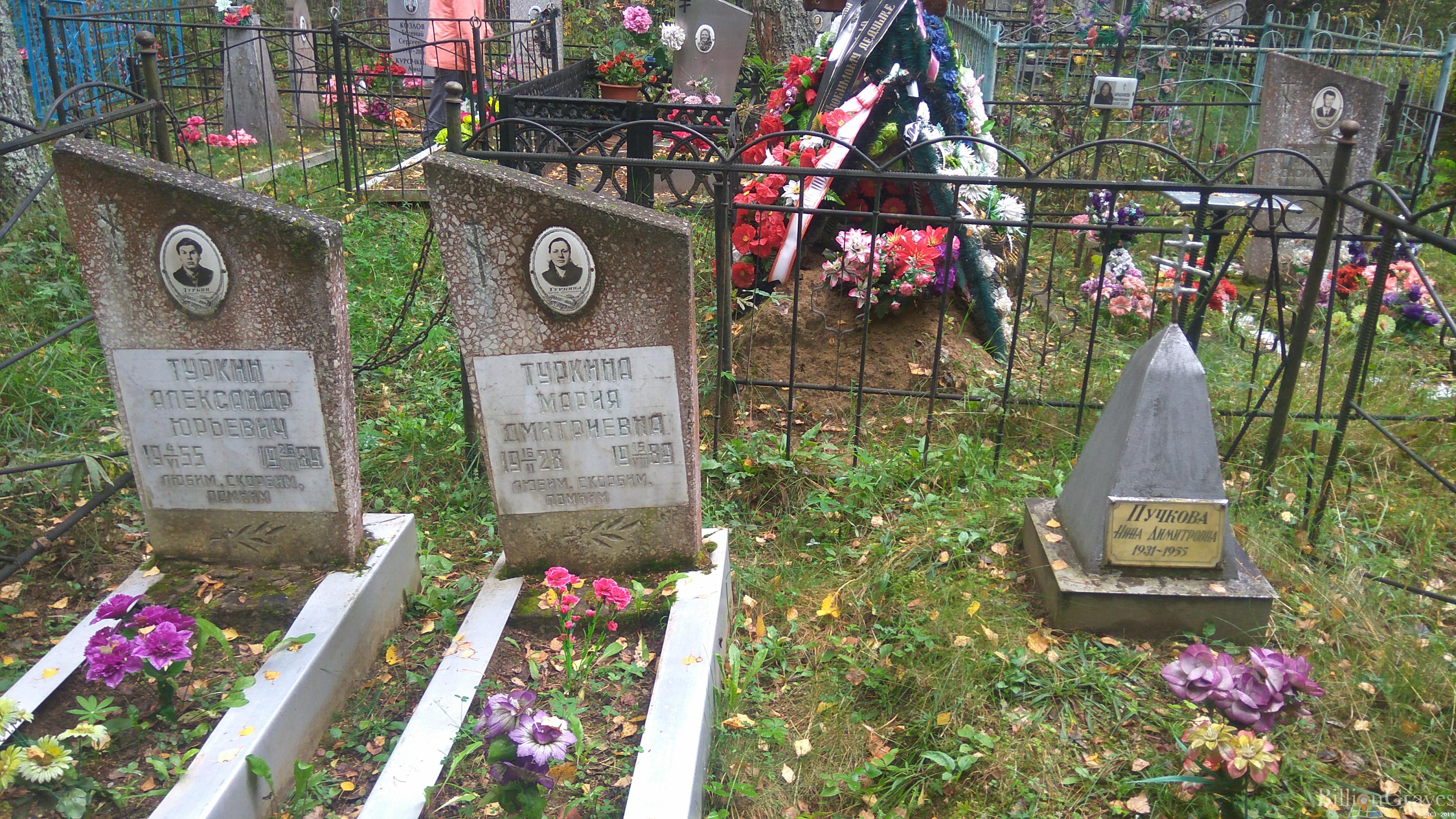 Туркин Александр Юрьевич