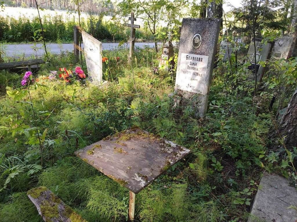 Белякова Дарья Петровна
