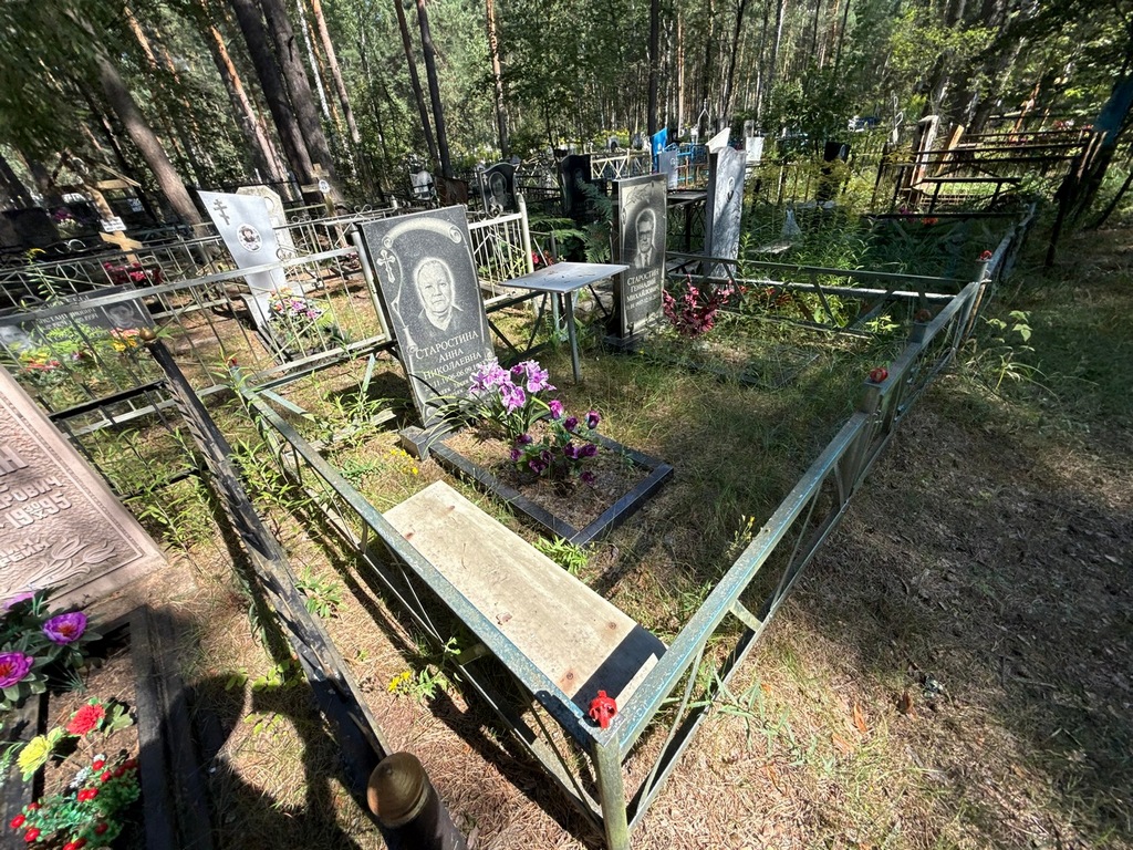 Старостина Анна Николаевна