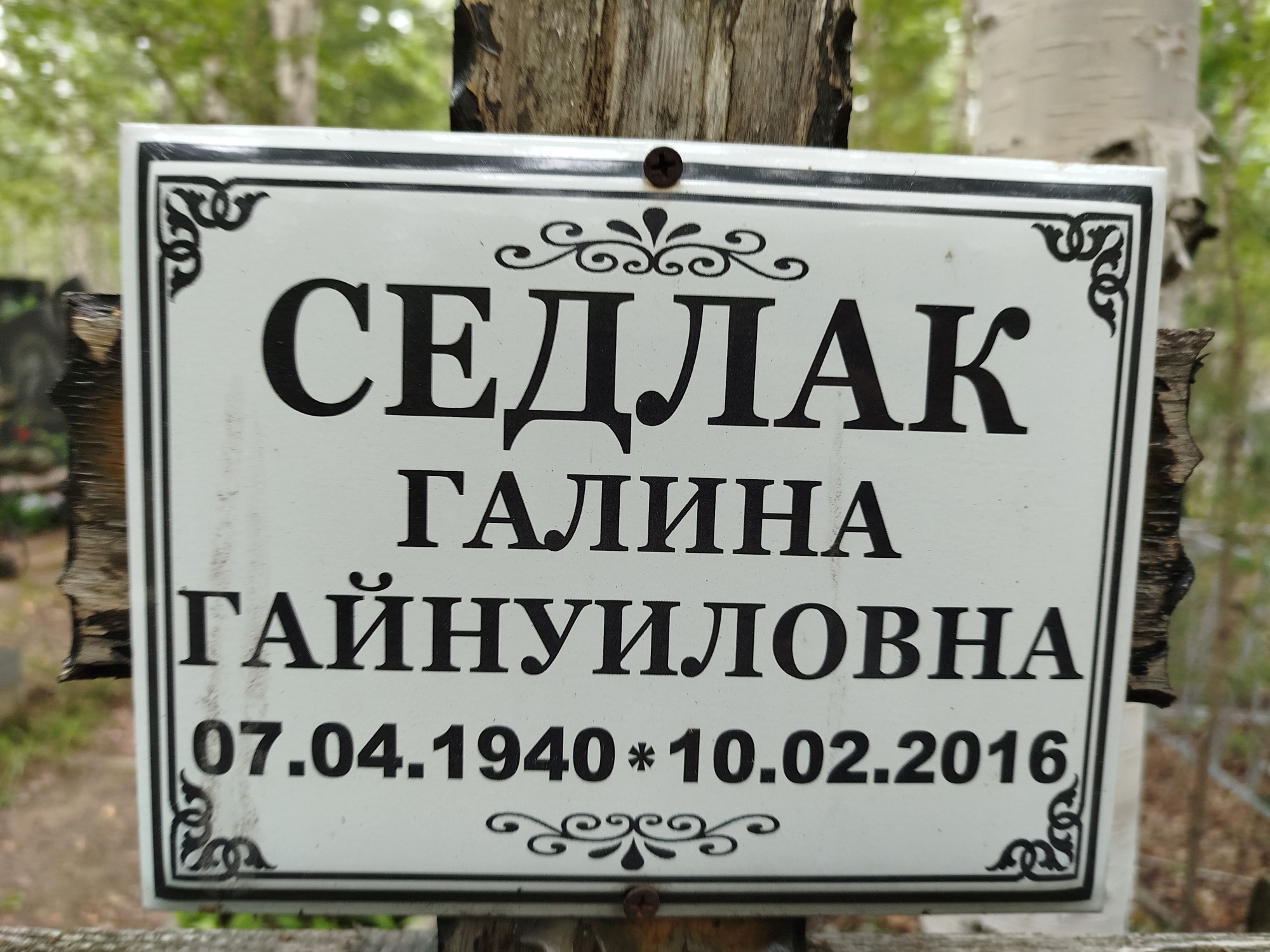 Седлак Галина Гайнуиловна