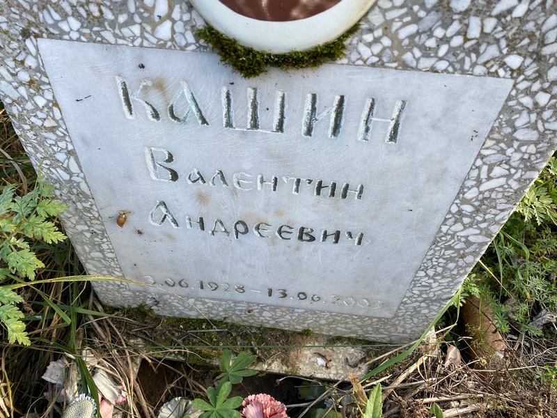 Кашин