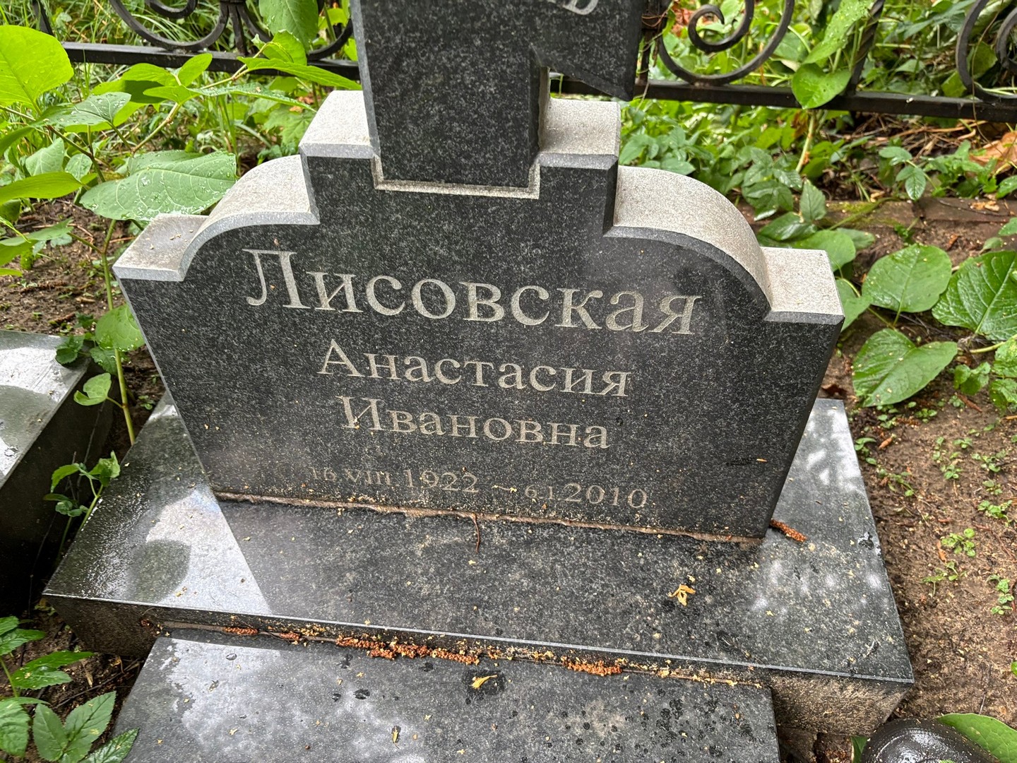 Лисовская Анастасия Ивановна