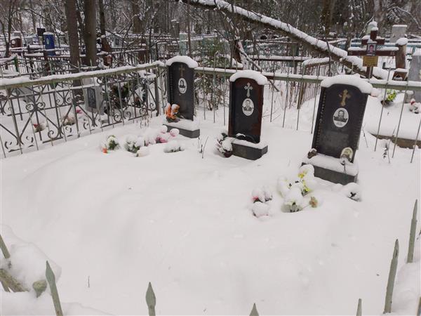 Волов Виталий Николаевич