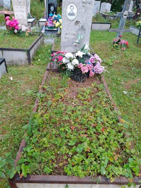 Урасимов Сергей Львович