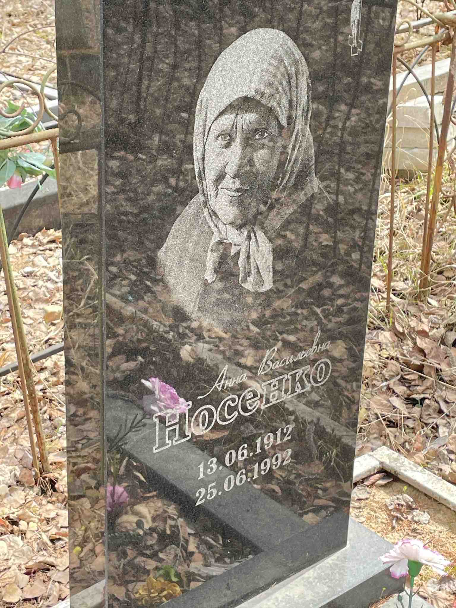 Носенко Анна Васильевна