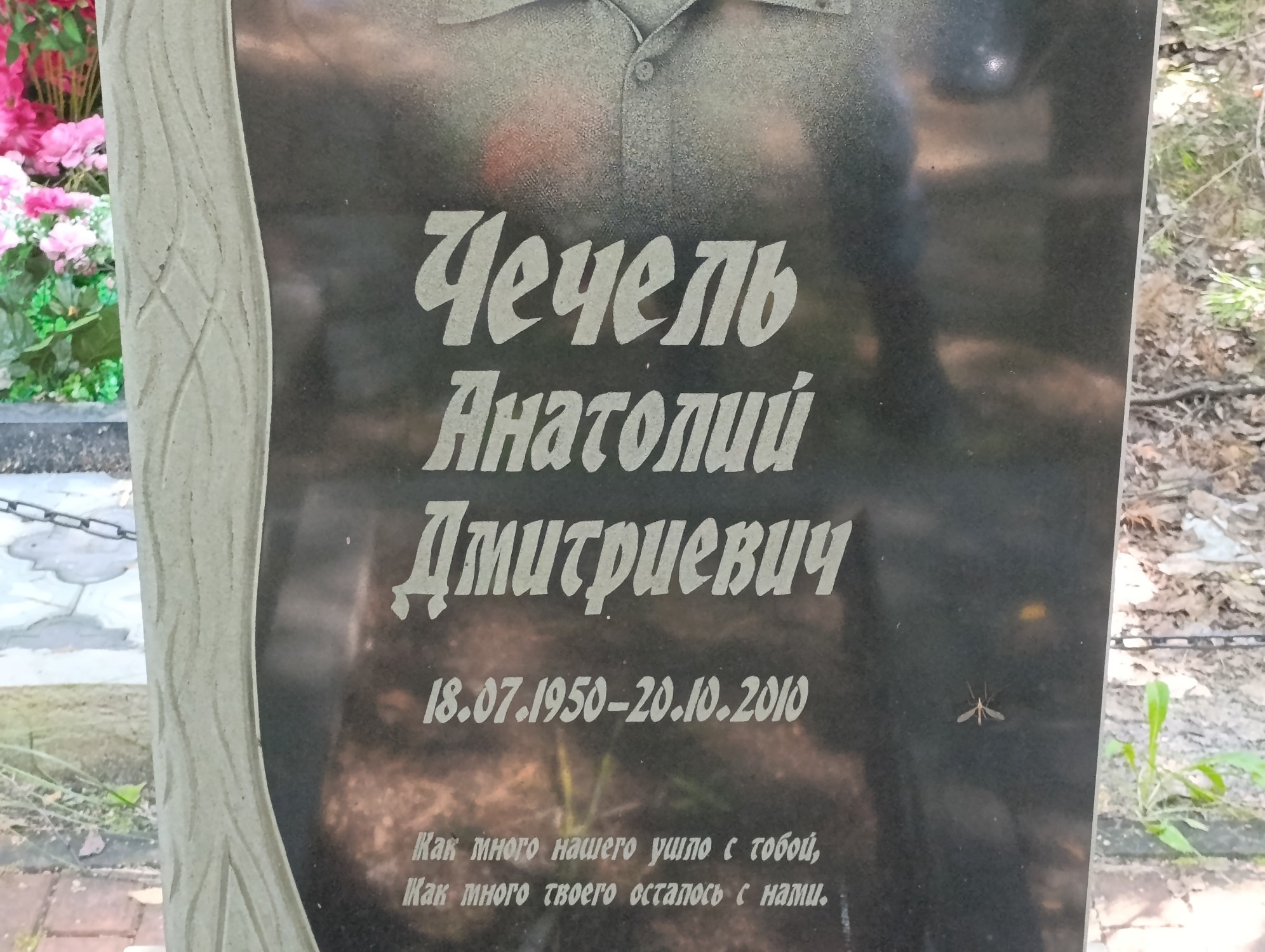 Чечель Анатолий Дмитриевич