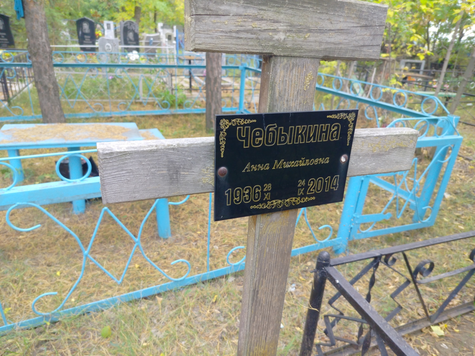 Чебыкина Анна Михайловна