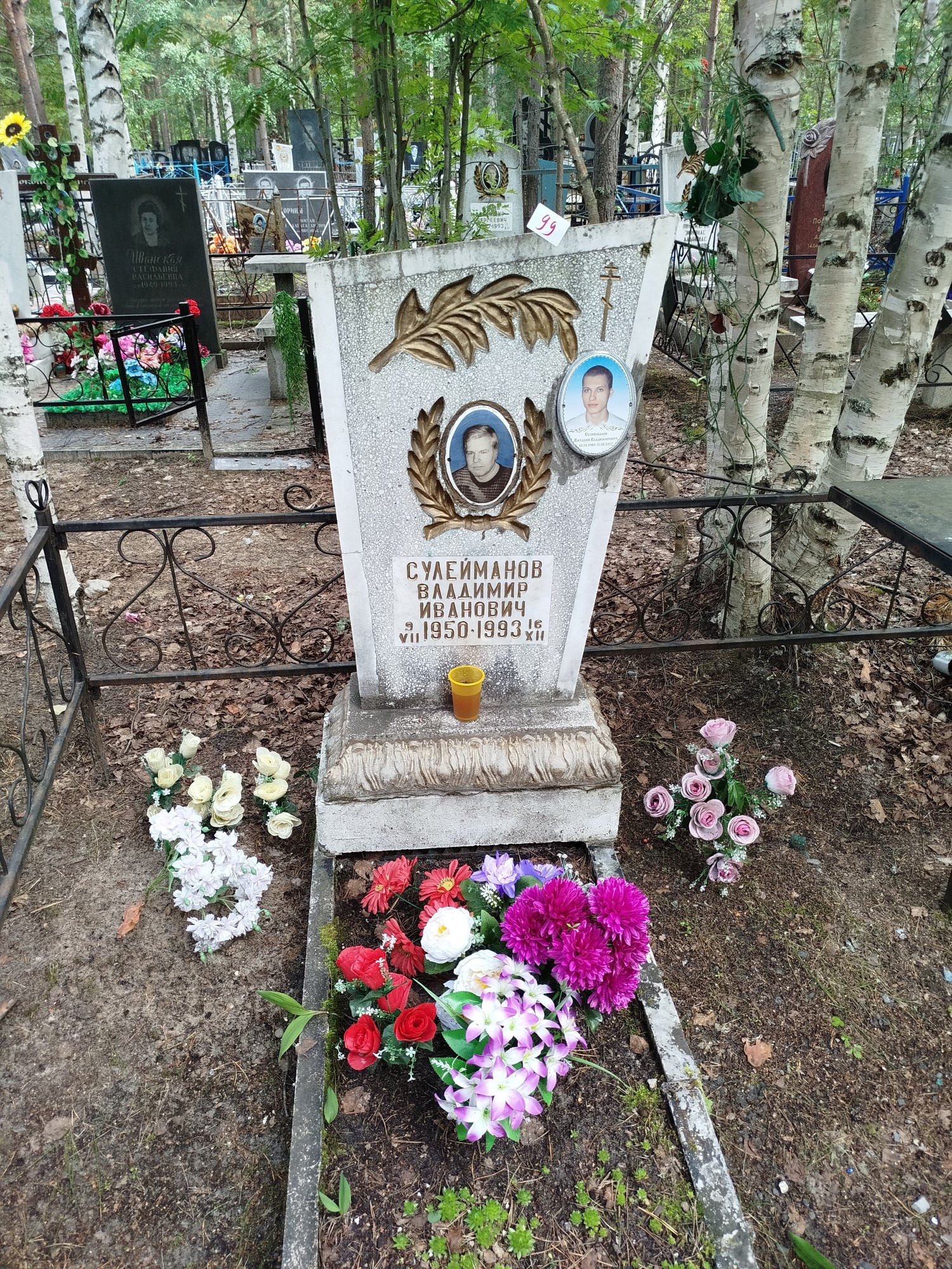 Сулейманов Владимир Иванович