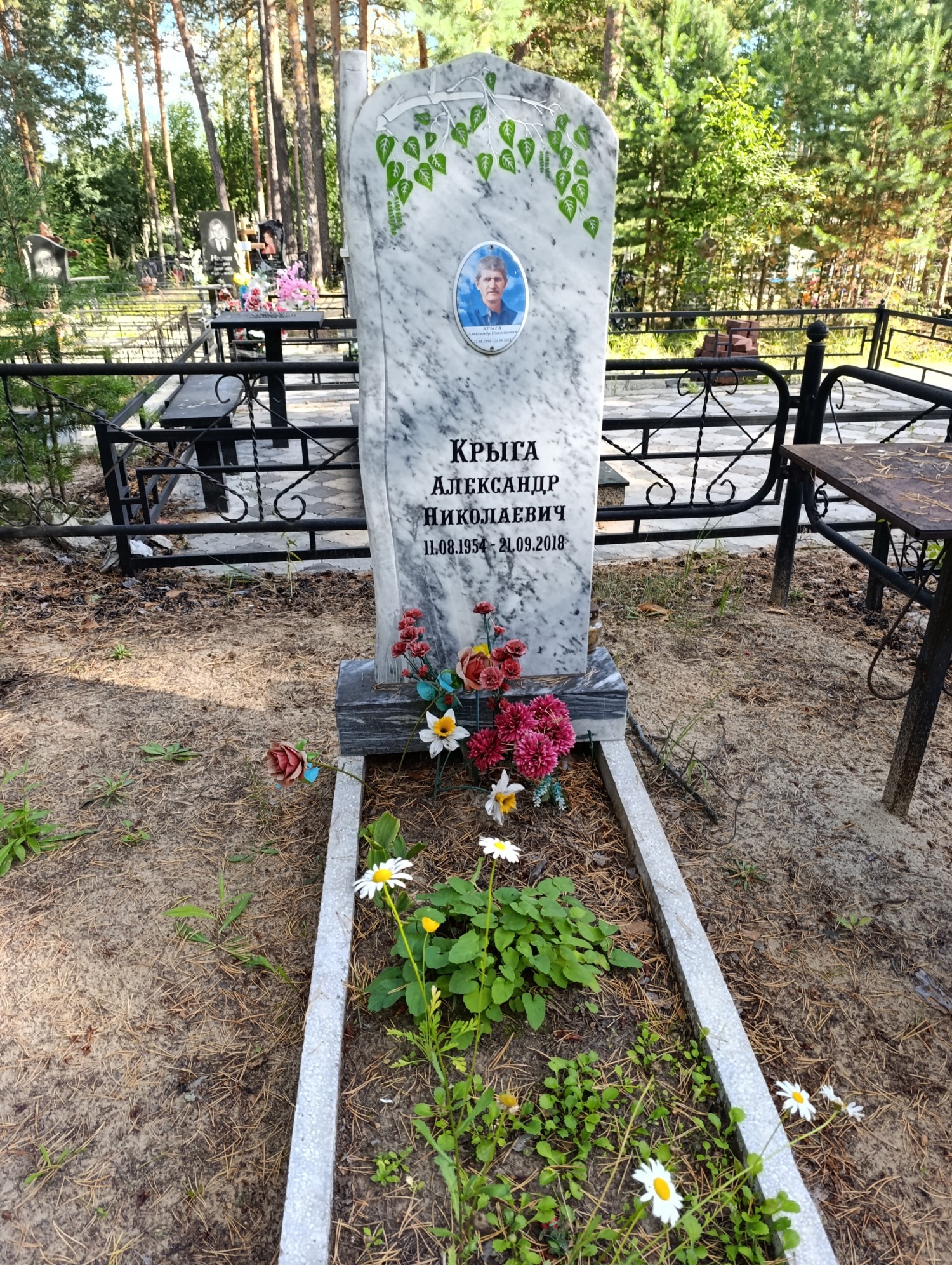 Крыга Александр Николаевич