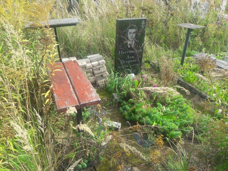 Несговоров Лев Петрович