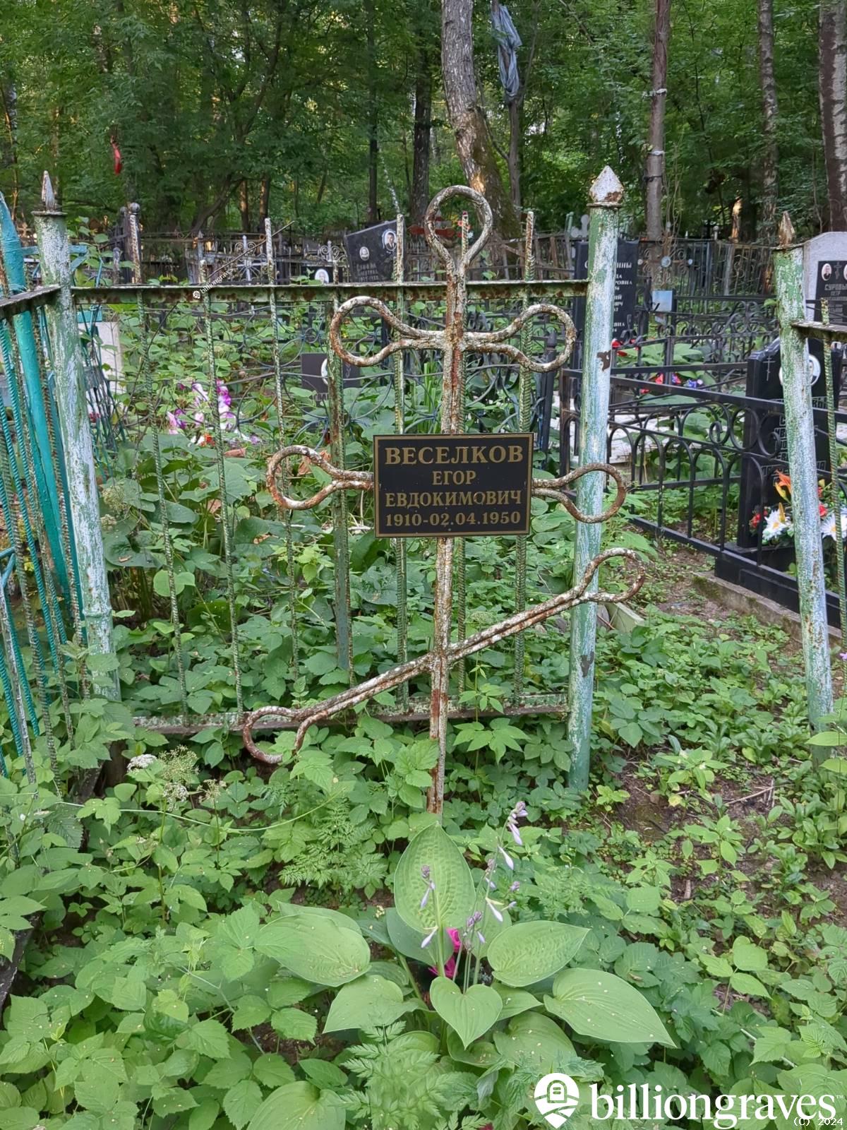 Веселков Егор Евдокимович